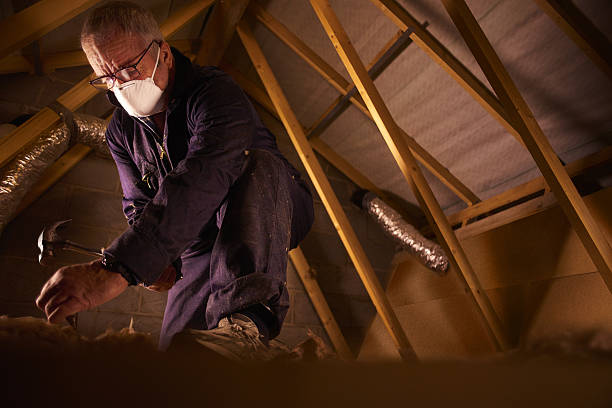 Types of Insulation We Offer in Union, SC